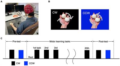 Characteristics of EEG power spectra involved in the proficiency of motor learning